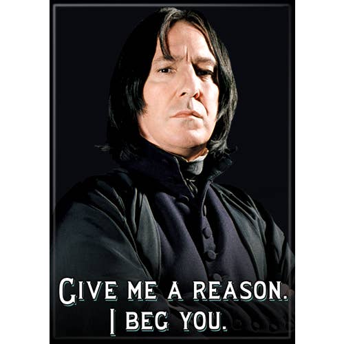 Harry Potter Snape I Beg You Magnet