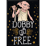 Dobby Magnet a Magnet