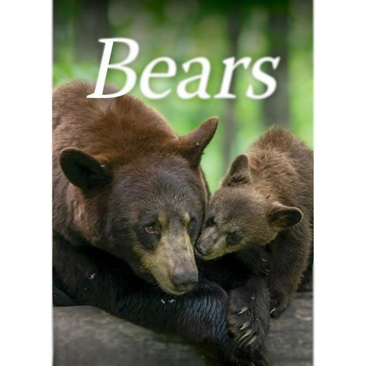 Bear Themed Playing Cards