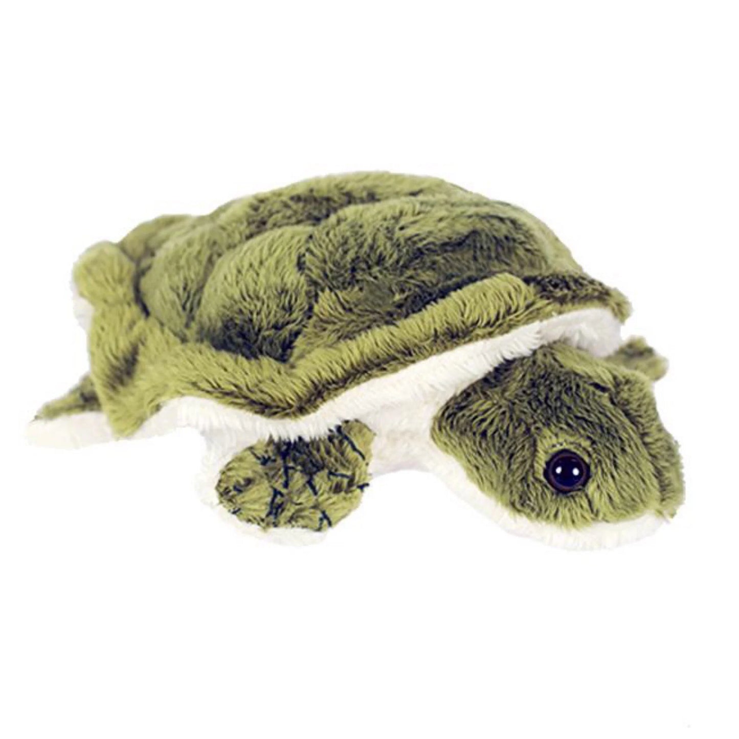 Baby Sea Turtle